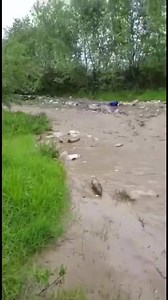 CELA SE PASSE EN EUROPE ! Sur un torrent qui sort de la montagne des Carpates Méridionales dans le comté d’Arges à proximité du village de Micesti (Roumanie). Que faut-il en penser ? Vidéo : Meteoplus | La Place du Village