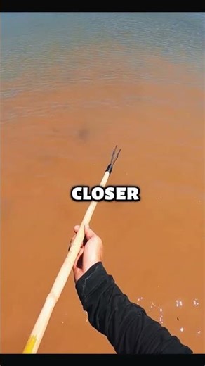 Bowfishing Survival Skills in Action#bowandarrow #bowfishing #fishing #outdoor #fyp