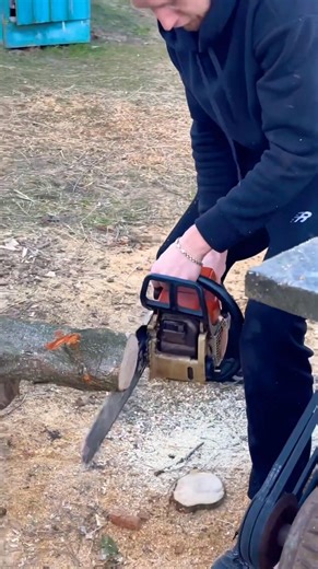 Turbocharged Chainsaw STIHL MS 361 #stihl #woodwork #reels #explore #trending #fblifestyle | West Woody