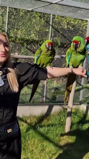 Zpěvačka Martina Balogová si při návštěvě užila i s vojáky 😁🤣 Arové vojenští Maruška a Rocky👍♥️