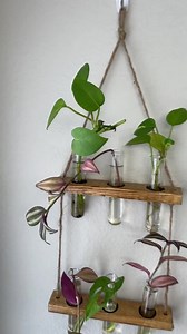 Glass Test Tube Propagation Vase: 45ml With O-ring Hanger - Etsy