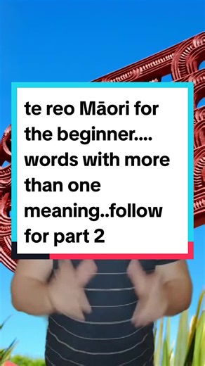 Learning Te Reo Māori Words with Multiple Meanings | Beginner's Guide