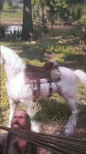 Red Dead Redemption 2 Funny Glitch