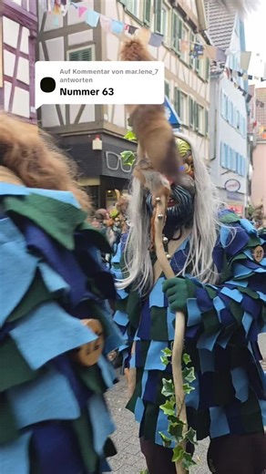 Umzug 2026 in Herrenberg: Fasnet-Highlights