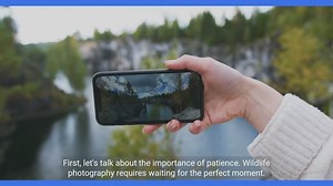 Beginner’s Guide to Wildlife Photography - Tips and Techniques