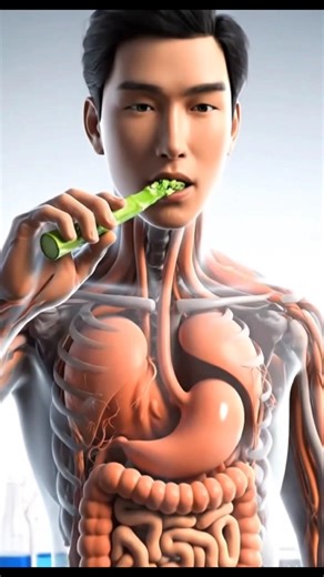 How Your Body Processes Asparagus | Realistic 3D Animation