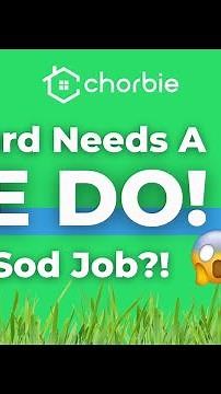 What to do When Your Lawn is OVERGROWN by Weeds (Tips from an EXPERT)