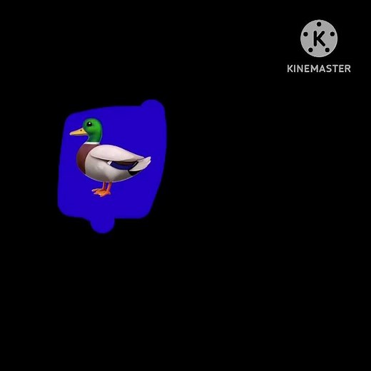 Rubber duck entertainment logo