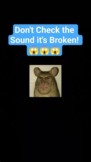 This sound is broken 😨😨😨 #comedy #funny #loop