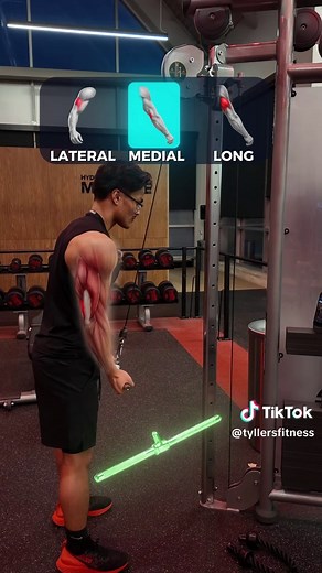 All 3 variations still train all 3 heads — these are just biases based on joint position, grip, and tension. No single exercise “isolates” one head choose based on what you want to emphasize and how it feels for you. Pronated (overhand) grip → Targets all 3 heads → Greater emphasis on the lateral head * Pronated grip = more internal rotation elbow extension Supinated (underhand) grip → Targets all 3 heads → Slightly more medial head involvement * Supination shifts elbow mechanics → increases med