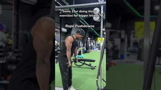 Triceps Workout: Rope Pushdowns & Overhead Extension