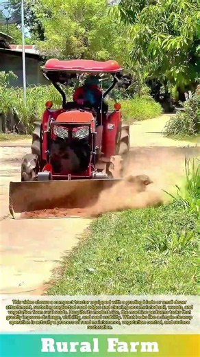 A Compact Tractor Clean Dirt Roads: This Is How a Mini Dozer Restores Overgrown Rural Road Edges