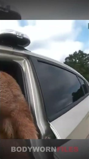 Goat Eats Cop’s Paperwork in Georgia?! | BodyWornFiles