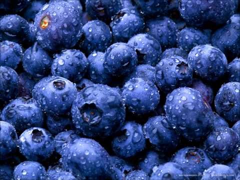 英語であそぼ - Simon Says