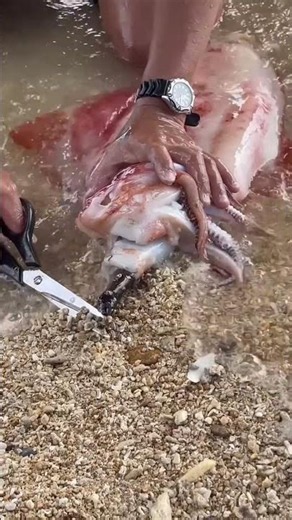 Watch This: Incredible Seafood Prep on the Shore!