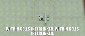 Within cells interlinked. Within cells interlinked.