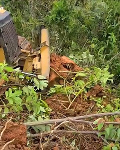 Efficient Land Clearing - Caterpillar D5K Bulldozer's Woods Work | Bulldozer Forest | Facebook