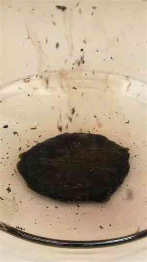 The Chemical So Unstable It Can Explode On Contact