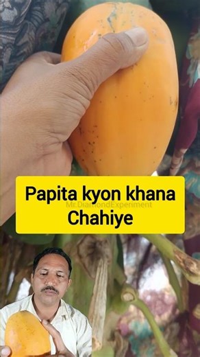 papita khane ke kya fayde hai. #papita #papaya #digestiontips​ #bloatingremedies​ #healthylife