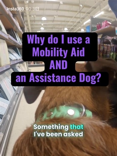 Why do I use a mobility aid AND and an Assistance Dog? This is a question. I’ve been asked a few times now. when I became sick with SCDS, I immediately lost my driving license. I also soon realised that public transport, in my case using the bus was exasperating my symptoms and even with Pinta’s Support, when I got off of the bus, I was very unsafe because the noise of the engine and other cars on the road were instigating my vertigo. This was when I first thought about getting a mobility aid. S