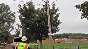 13 reactions · 5 comments |  To ensure safe, reliable electric service, our tree care professionals must prune branches away from power lines. Our forestry expert Tara Weckerly explains why we use directional pruning techniques when trimming trees across our service area. ⬇️ | Ohio Edison | Facebook