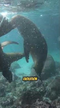 This Country Breaks the Map 🌍 #ecuador #equator #geography