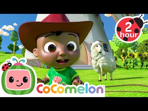 Catch That Sheep! Ba Ba Black Sheep Singalong | CoComelon | Sing Along | Learn about Animals