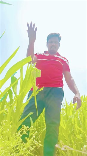 🙏💙नटविला सोन्याने संसार तो भिमाचा रमान🙏💙#song #newbhimgeet #ambedkarbhajan #marathi #जयभीम