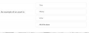 An example of an asset is:TimeMoneyA CarAll of the above... | Filo