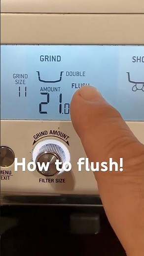 How to "Clean" Breville Barista Pro #breville #brevillebaristaexpress