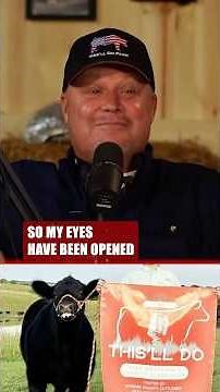 First Experience Into Show Cattle