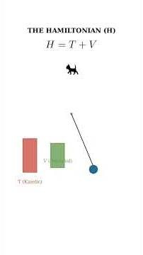 The Hamiltonian #maths #ai #machinelearning #trending #viral #mathematics