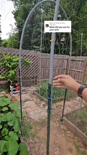DIY Arch Trellis for Tomatoes! Small Plants, Big Potential