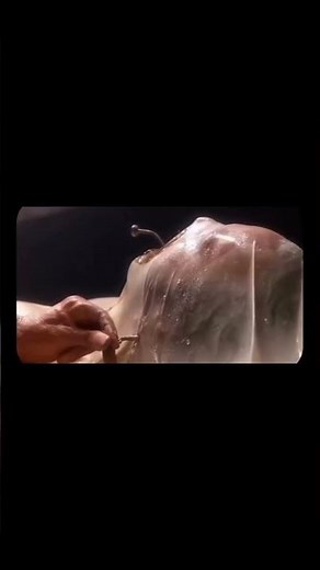👽 Fire in the Sky (1993) 🔥🌲📽️ Genre: Sci-Fi • Horror • Mystery • Drama