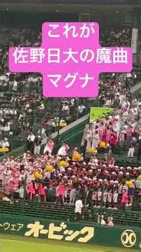これが佐野日大の魔曲 マグナ 今年の夏はこの曲で快進撃を起こす‼️ #shorts #佐野日大 #応援歌 #応援 #高校野球 #甲子園