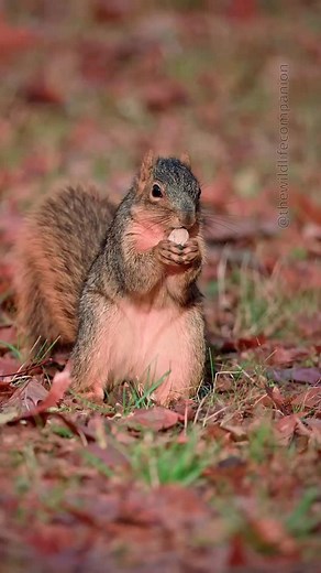 1.2K views · 391 reactions | As days get shorter and temperatures...