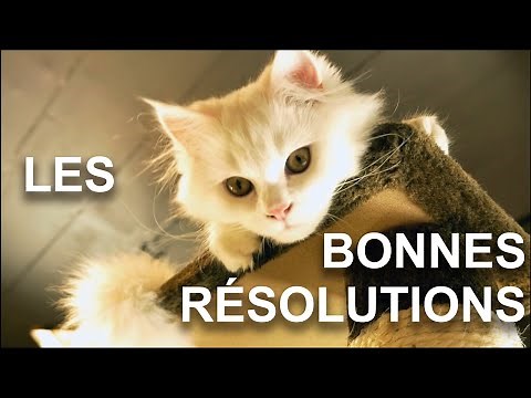 LES BONNES RéSOLUTIONS