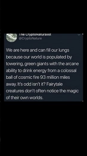 trees harness the sun's magic | Subscribe for more #motivation 😊👍