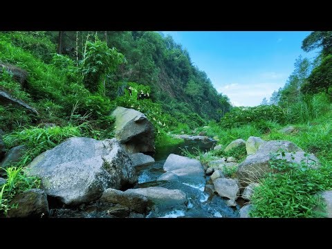 Water Sounds for Sleeping and Deep Sleep with Gentle Flowing Water to Help You Relax All Night