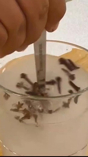 Home Remedy for Bad Breath: Effective Solutions Revealed