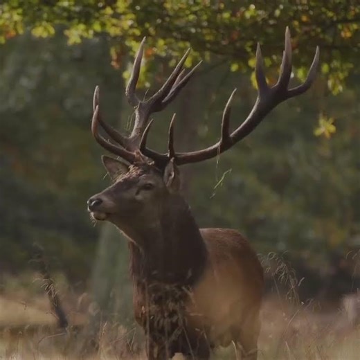 First Steps of the Porch Build – Foundation Work in the Erik Grankvist Style ‪@ErikGrankvist‬