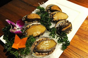 Chinese Abalone Producer Achieves ASC Certification | Aquaculture