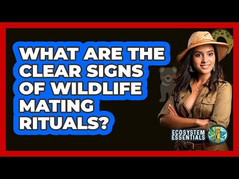 What Are The Clear Signs Of Wildlife Mating Rituals? - Ecosystem Essentials