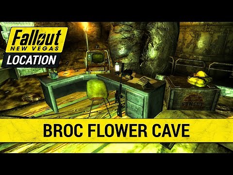 Broc Flower Cave – What You Missed | Fallout New Vegas: Secrets, Lore & Loot