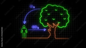 Neon Carbon cycle symbol. Glowing icon of Carbon dioxide oxygen exchange between human being and tree. Labeled educational scheme with biological process explanation and gas exchange in nature.