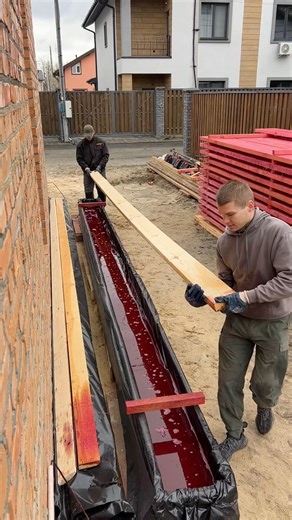 How to Effectively Treat Boards for Pest Infestation#construction#constructionchannel #workers