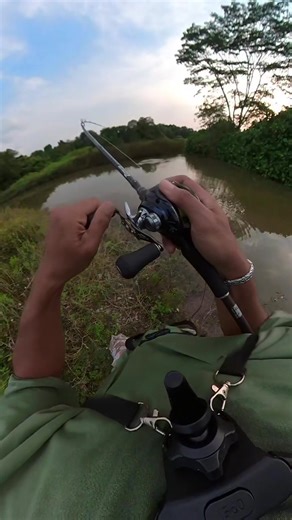 Art of Luring Fish: Techniques and Tips for Success