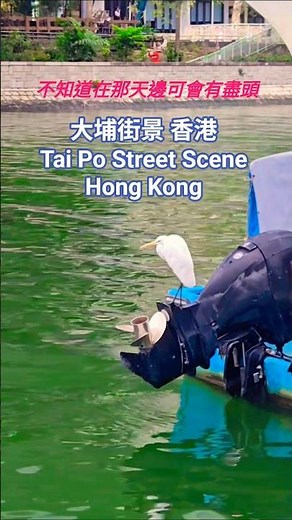 大埔街景 香港 Tai Po Street View Hong Kong