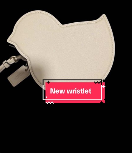 A new cute wallet #coach #bagtok #pursetok