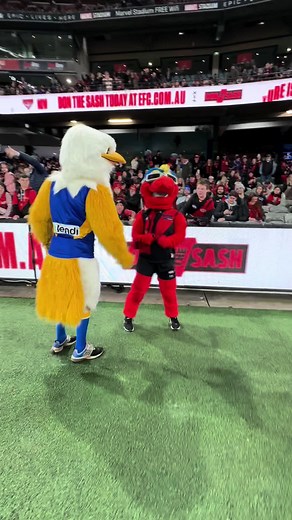 Interactions with AFL Mascots at Marvel Stadium